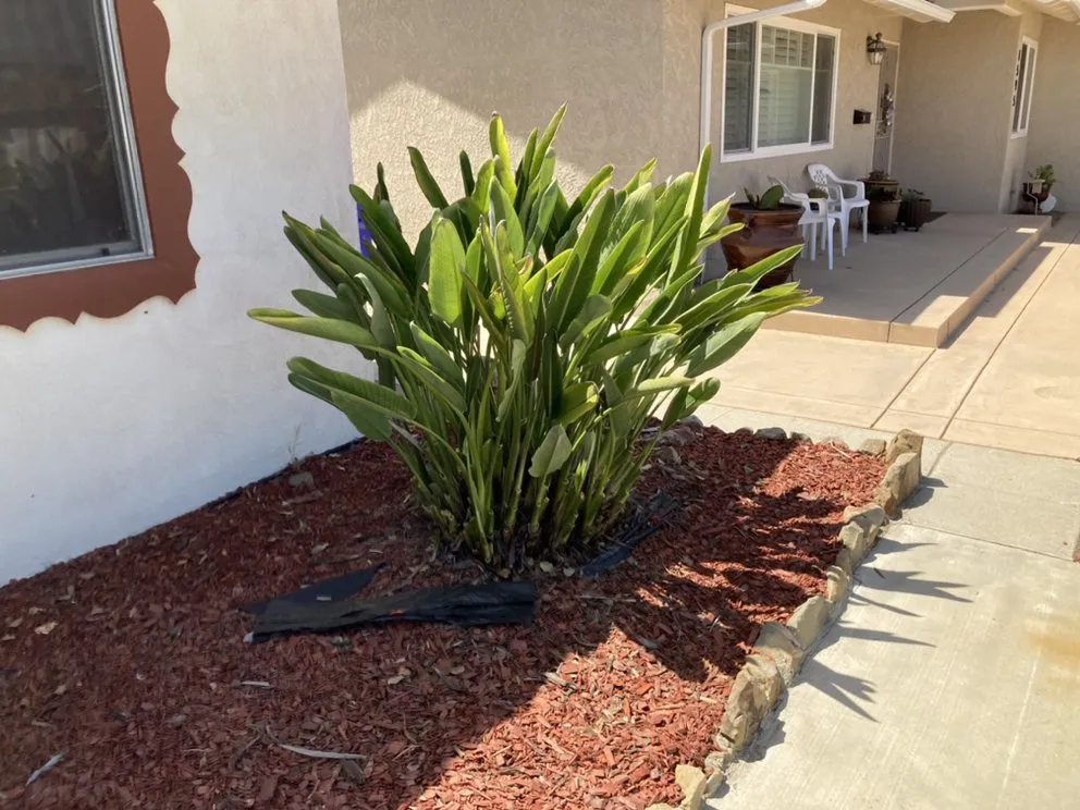 Trusted garden landscaping experts serving Oxnard, CA - SLGgardening And Landscape