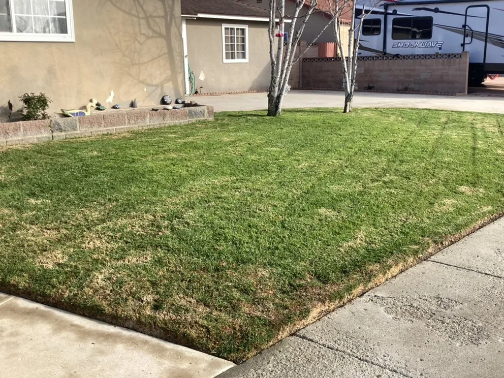 Professional residential landscaping with custom design in Oxnard, CA by SLGgardening And Landscape