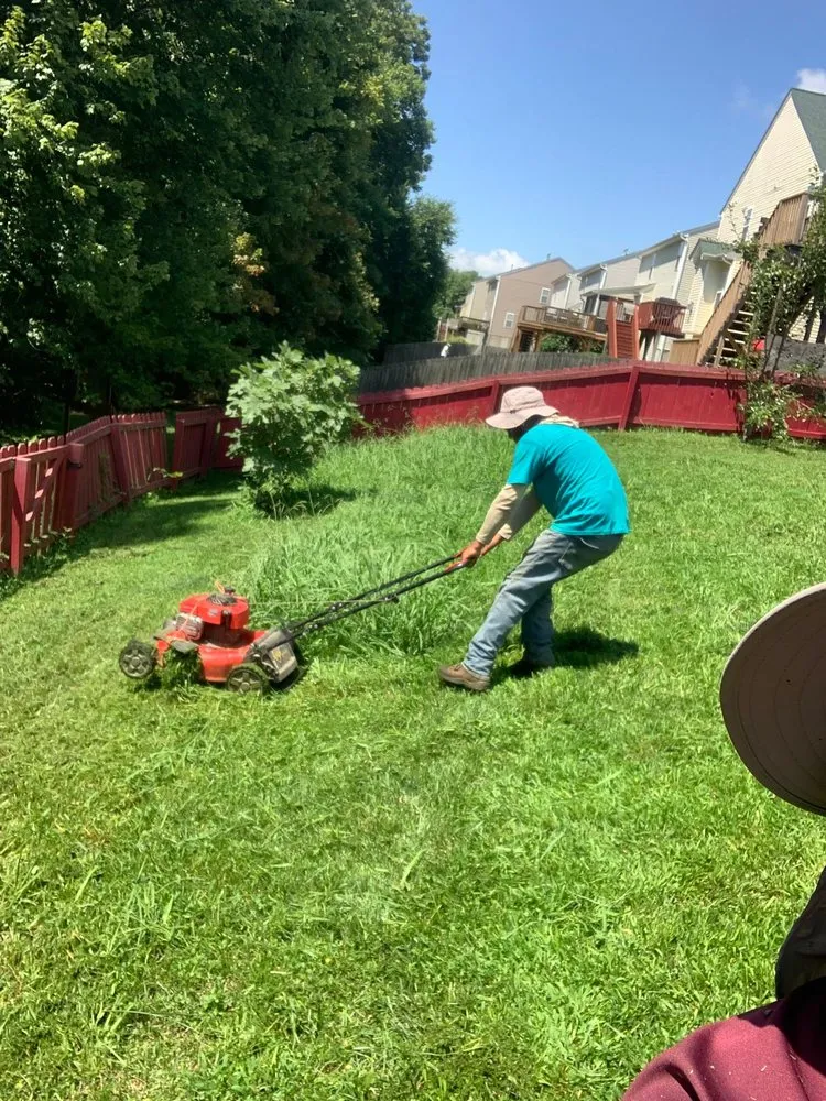 Affordable lawn care service in Winston-Salem, NC by Sli Lawn Care