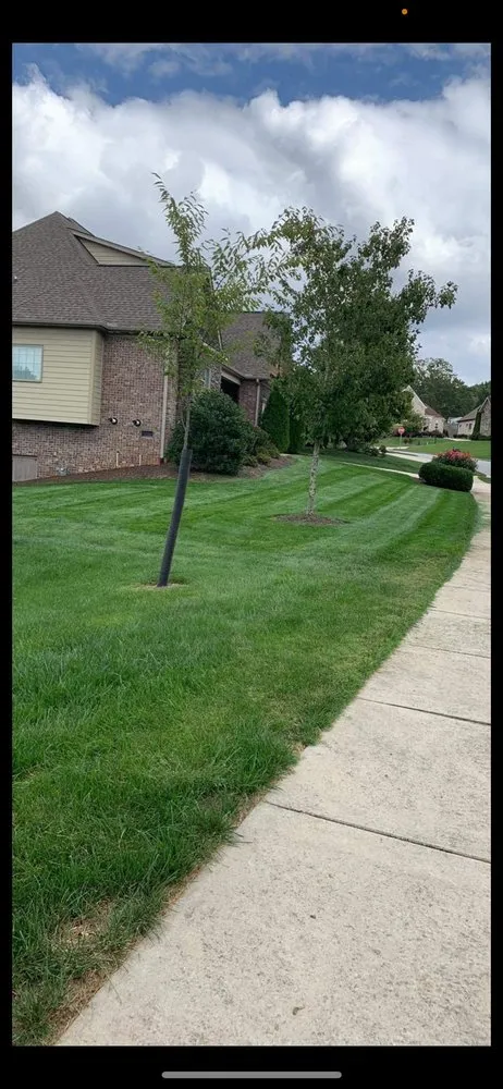 Top-rated yard cleanup service for homes in Winston-Salem, NC by Sli Lawn Care