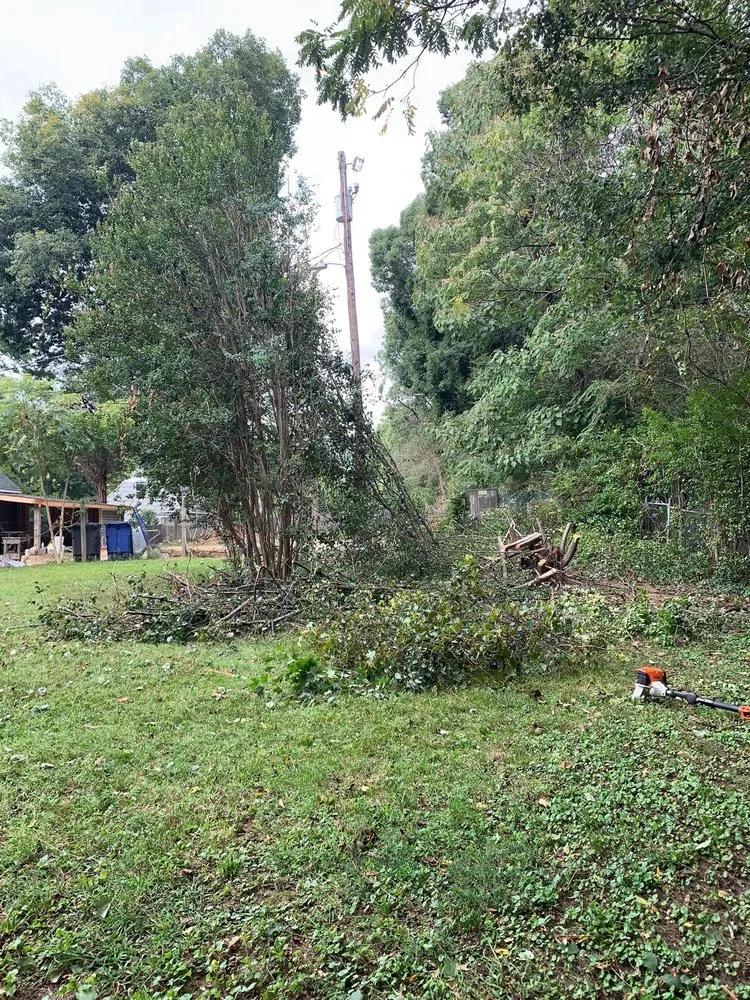 Professional residential landscaping near you across Winston-Salem, NC - Sli Lawn Care