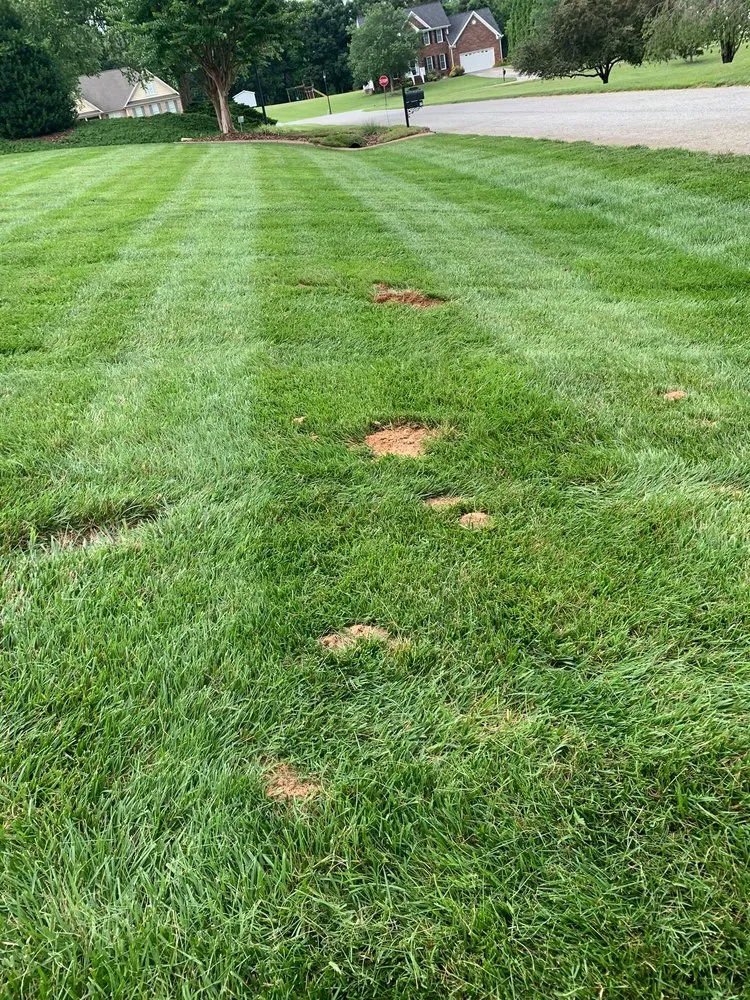 Affordable landscape design near you in Winston-Salem, NC by Sli Lawn Care