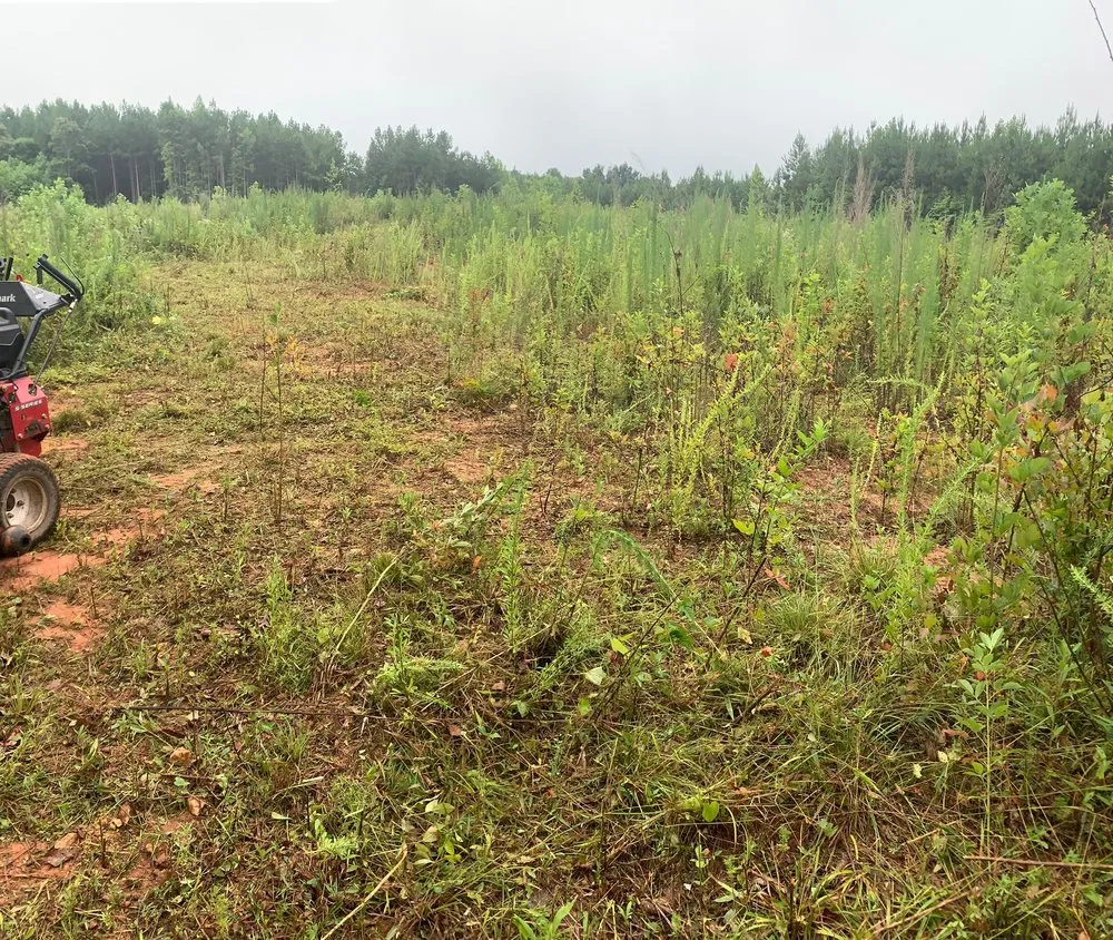 Custom lawn care service in Winston-Salem, NC - Sli Lawn Care