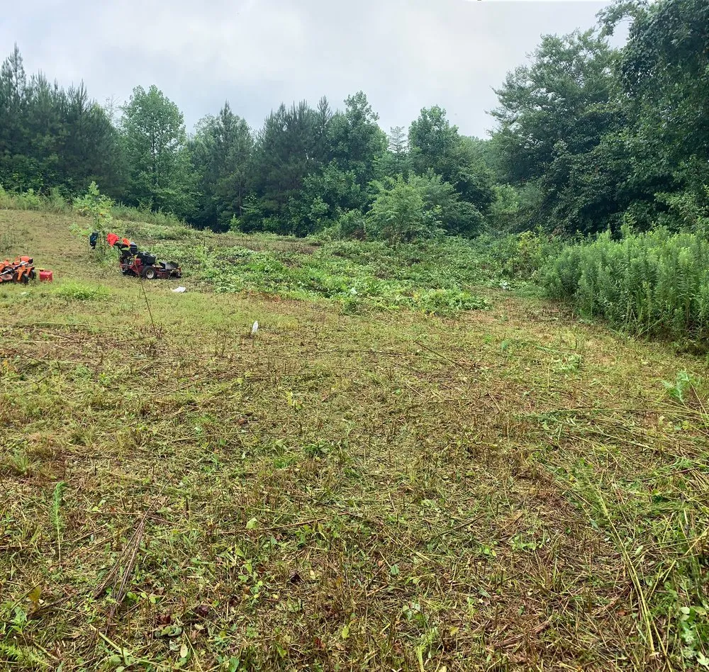 Expert lawn care service in Winston-Salem, NC - Sli Lawn Care