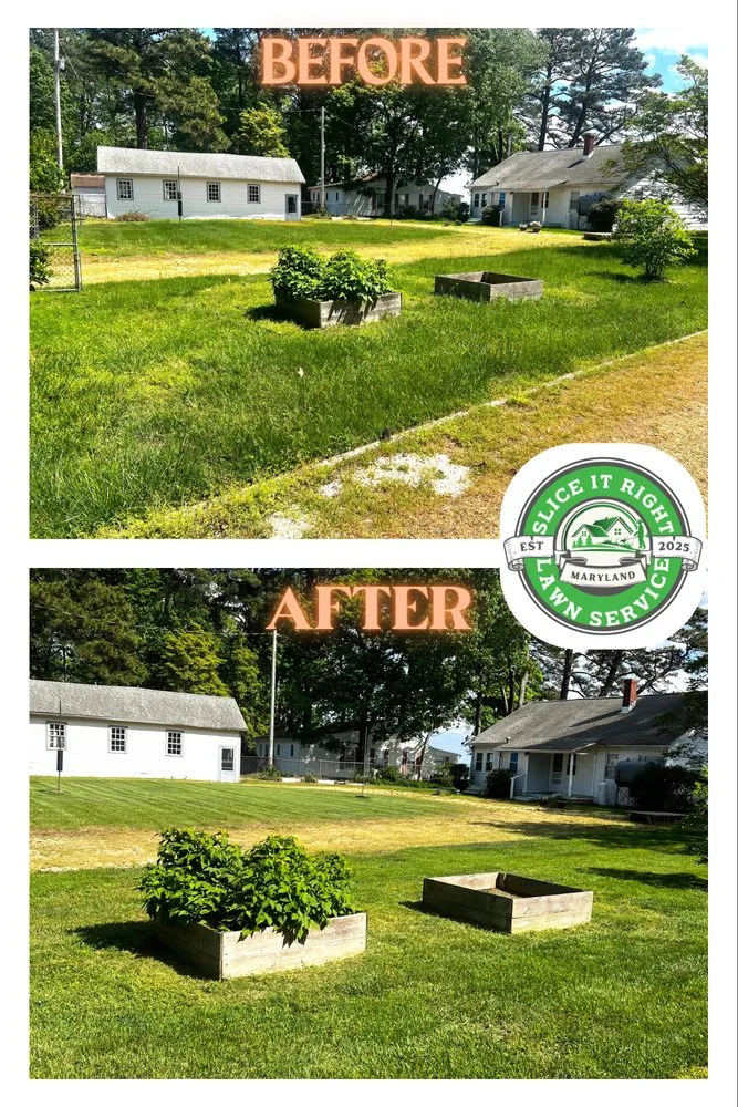 Top-rated yard cleanup service experts serving Leonardtown, MD - Slice It Right Lawn Service