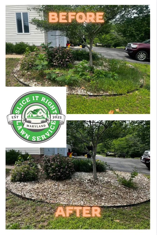 Custom yard cleanup service in Leonardtown, MD - Slice It Right Lawn Service