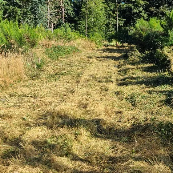 Trusted lawn mowing service in Stayton, OR - Slice N Dice Blackberry & Brush Clearing