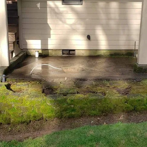 Expert outdoor landscaping in Stayton, OR by Slice N Dice Blackberry & Brush Clearing
