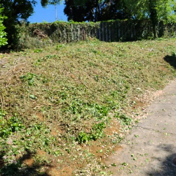 Professional landscaping services for residential properties in Stayton, OR by Slice N Dice Blackberry & Brush Clearing