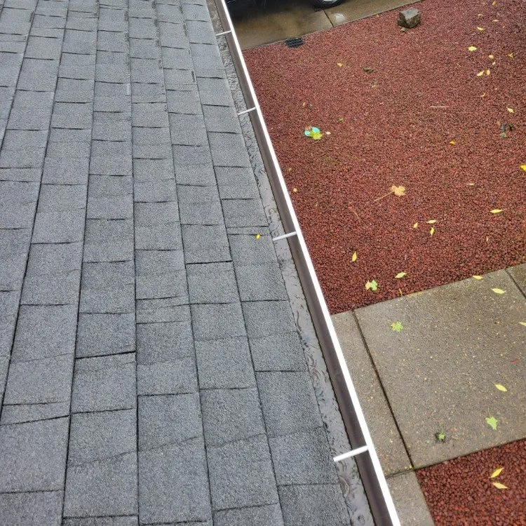 Top-rated lawn care service in Stayton, OR by Slice N Dice Blackberry & Brush Clearing