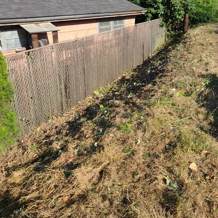 Local landscape design in Stayton, OR by Slice N Dice Blackberry & Brush Clearing