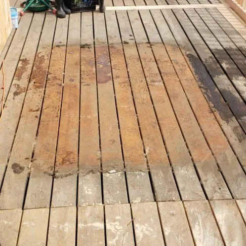 Custom yard maintenance experts serving Stayton, OR - Slice N Dice Blackberry & Brush Clearing