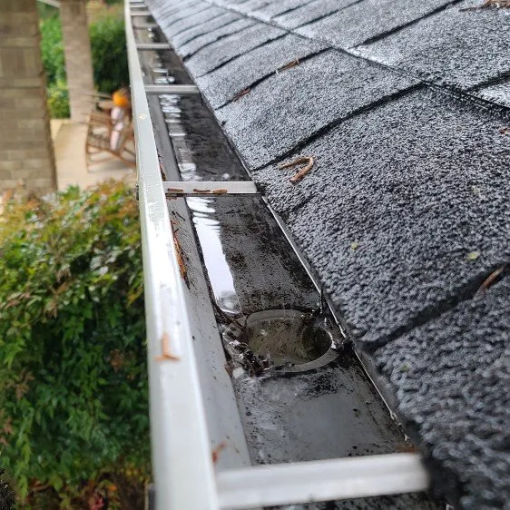 Professional yard cleanup service near you in Stayton, OR by Slice N Dice Blackberry & Brush Clearing