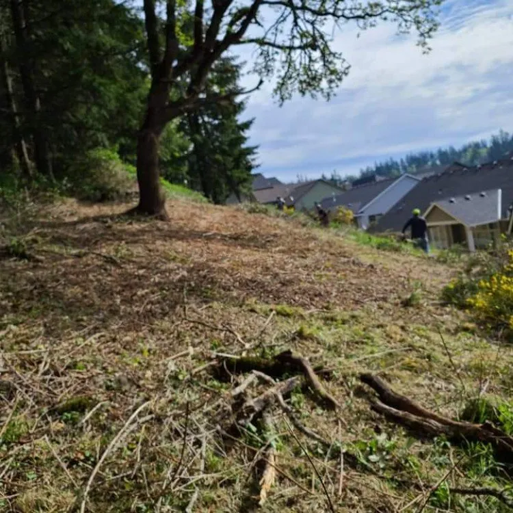 Affordable outdoor landscaping for residential properties in Stayton, OR by Slice N Dice Blackberry & Brush Clearing