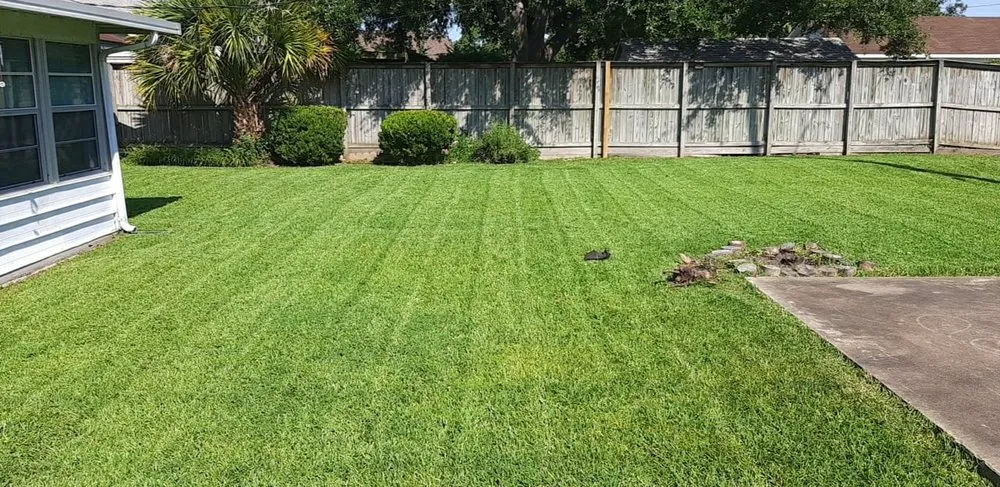 Affordable lawn mowing service for beautiful yards across Seabrook, TX - Slice N Dice Lawn Care