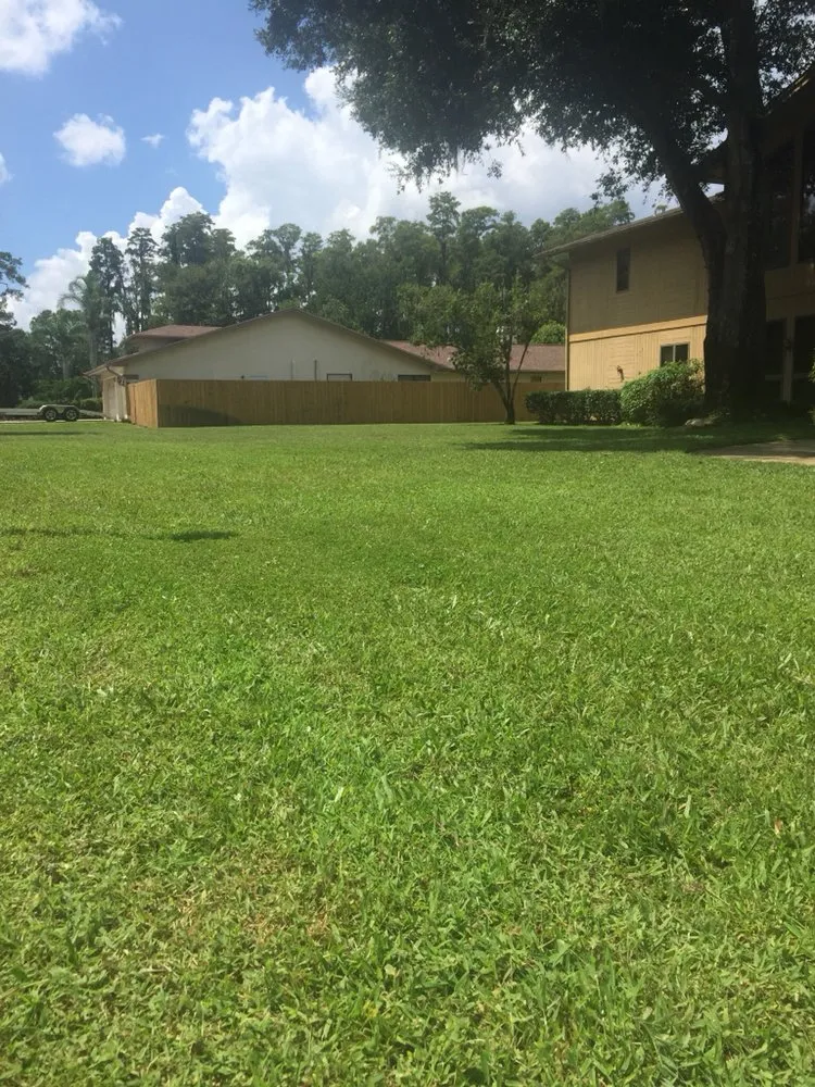 Expert yard maintenance experts serving Safety Harbor, FL - Slice of Lawn