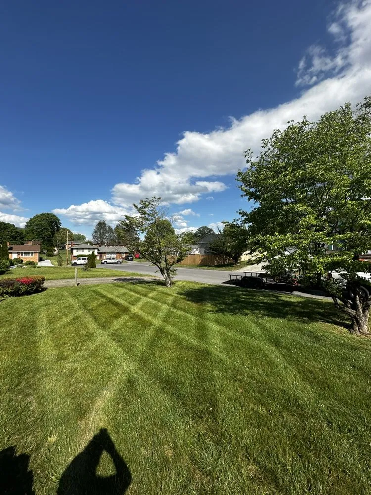 Professional landscaping services for year-round maintenance in Roanoke, VA by Slick Cuts Lawn Care