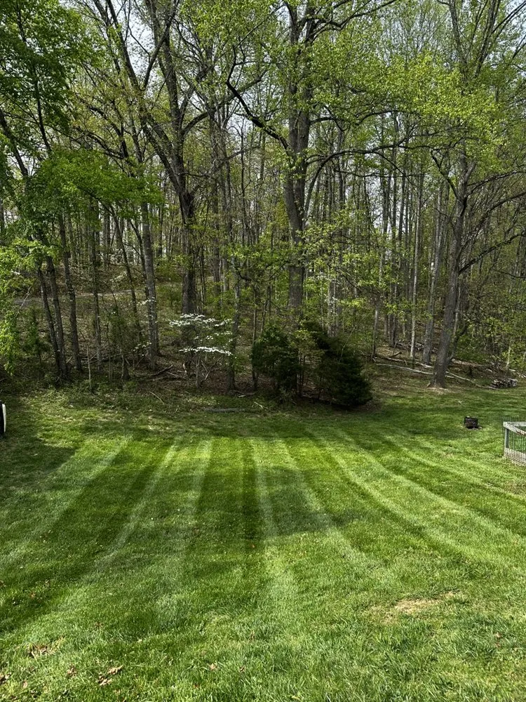 Professional yard cleanup service in Roanoke, VA by Slick Cuts Lawn Care