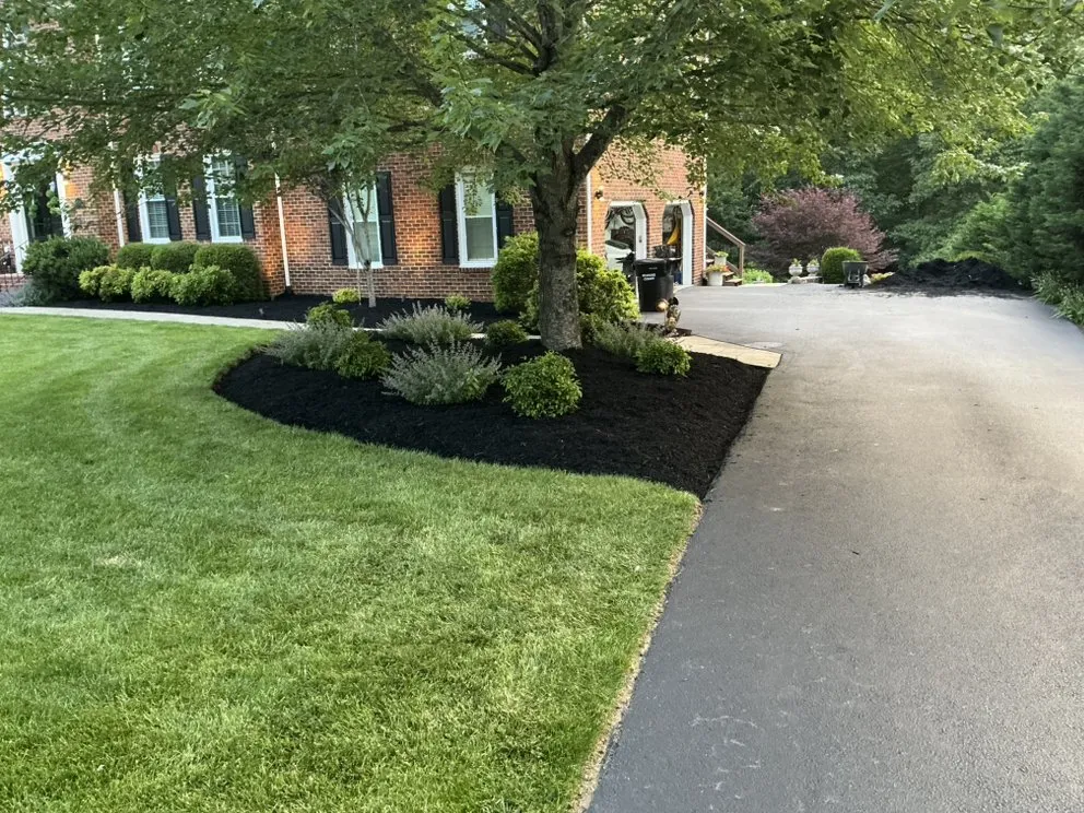Expert lawn care service in Roanoke, VA - Slick Cuts Lawn Care
