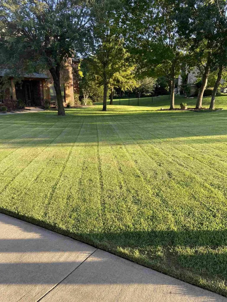 Expert yard cleanup service experts serving Mansfield, TX - Slickscapes Lawn & Landscape