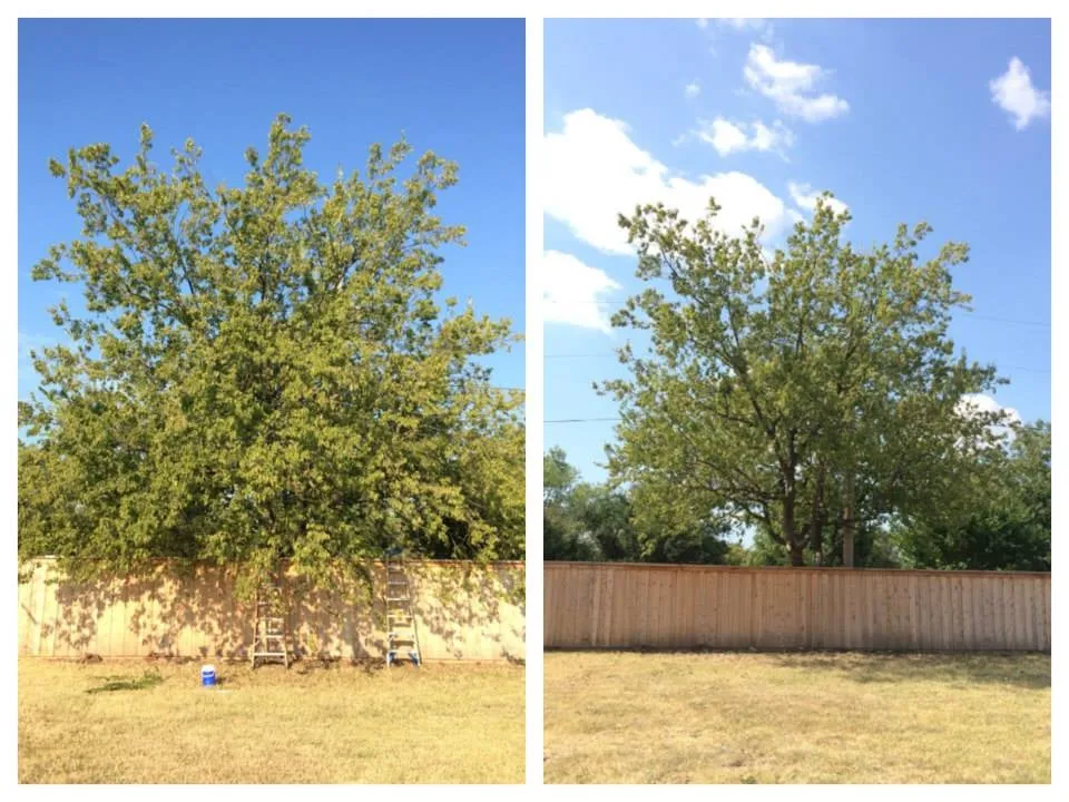 Local lawn mowing service in Mckinney, TX - Slight Edge Landscaping