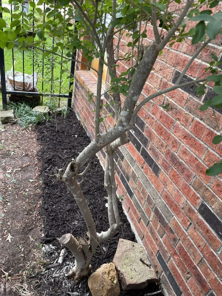 Professional landscaping services in Venus, TX - S.L.I.M. Contracting