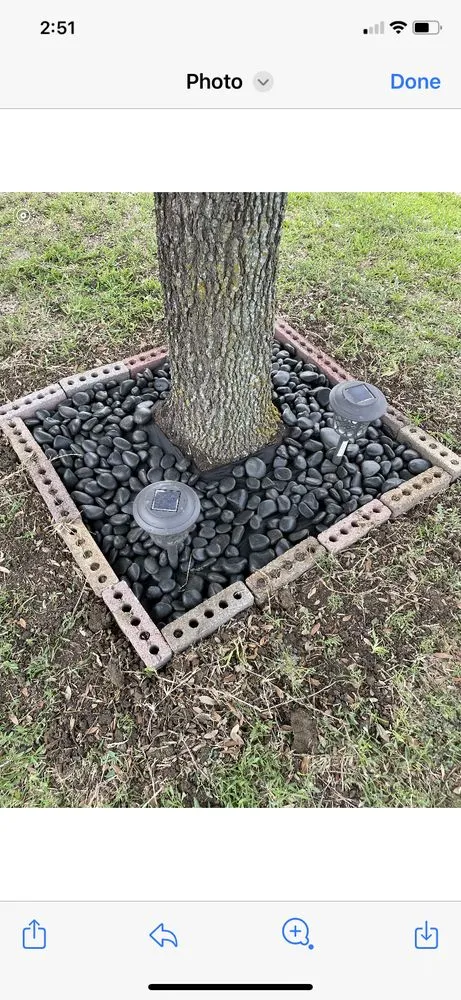 Top-rated yard maintenance experts serving Venus, TX - S.L.I.M. Contracting