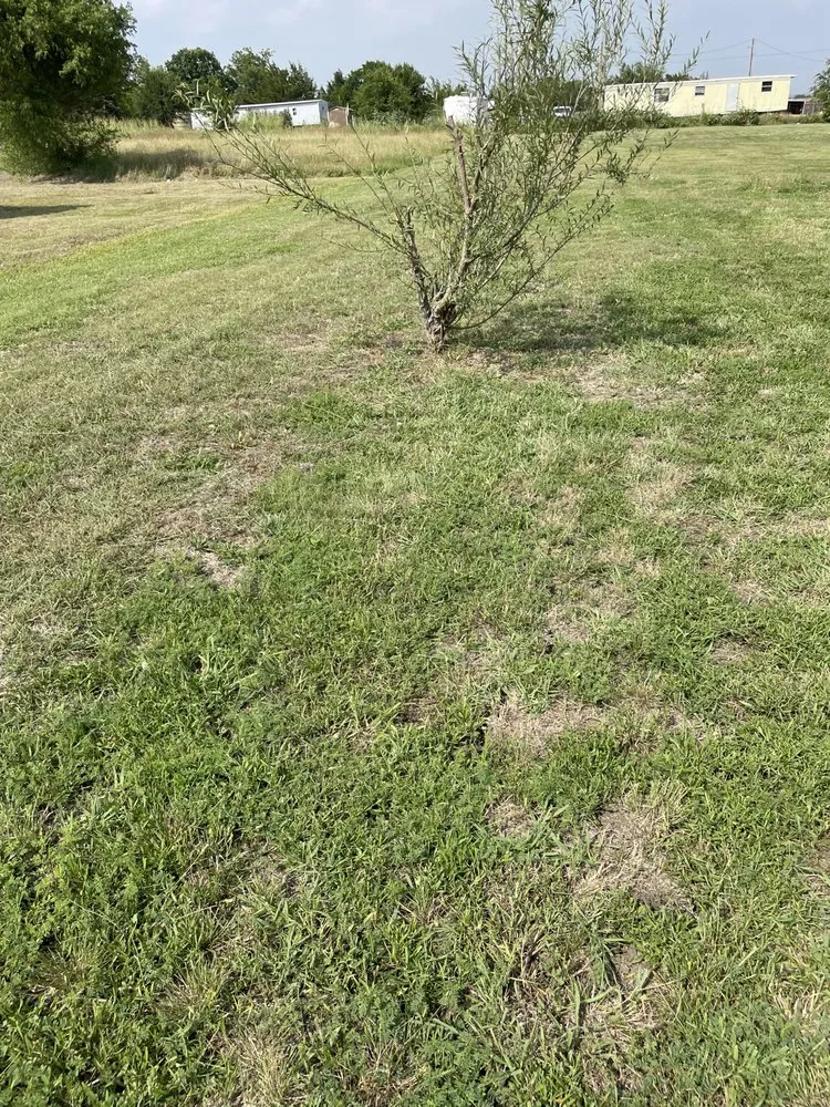 Expert lawn mowing service for homes across Venus, TX - S.L.I.M. Contracting