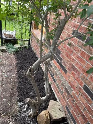 S.L.I.M. Contracting