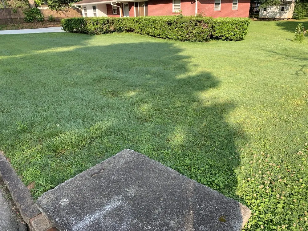 Trusted landscape installation for outdoor upgrades across Mableton, GA - Slim cuts