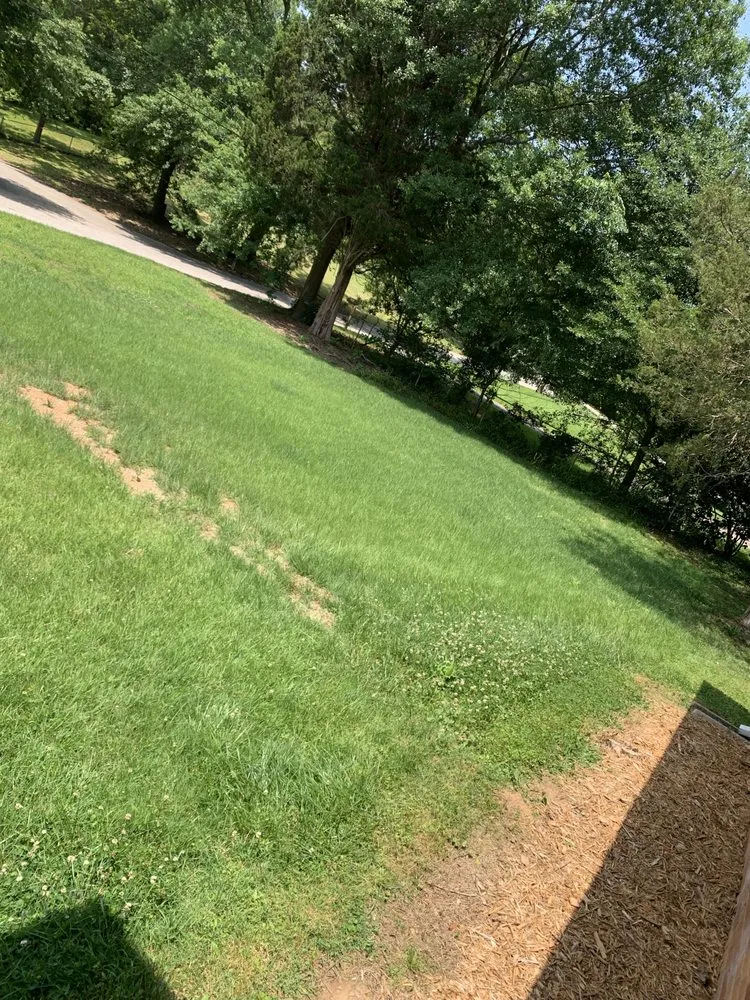 Affordable outdoor landscaping in Mableton, GA by Slim cuts