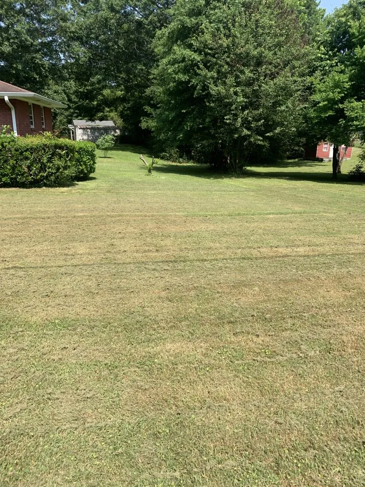 Expert yard maintenance experts serving Mableton, GA - Slim cuts