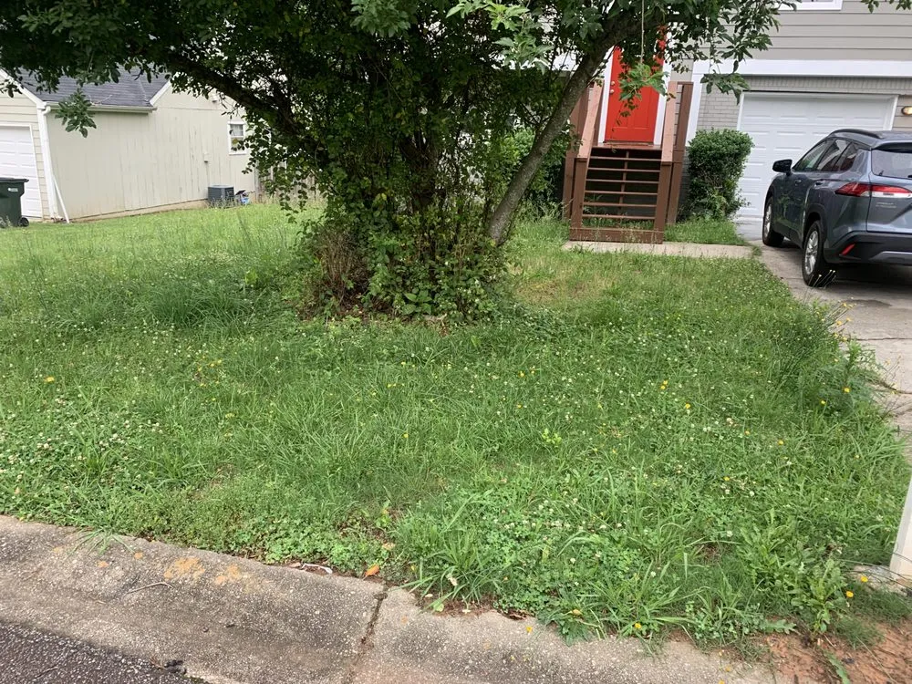 Custom residential landscaping experts serving Mableton, GA - Slim cuts