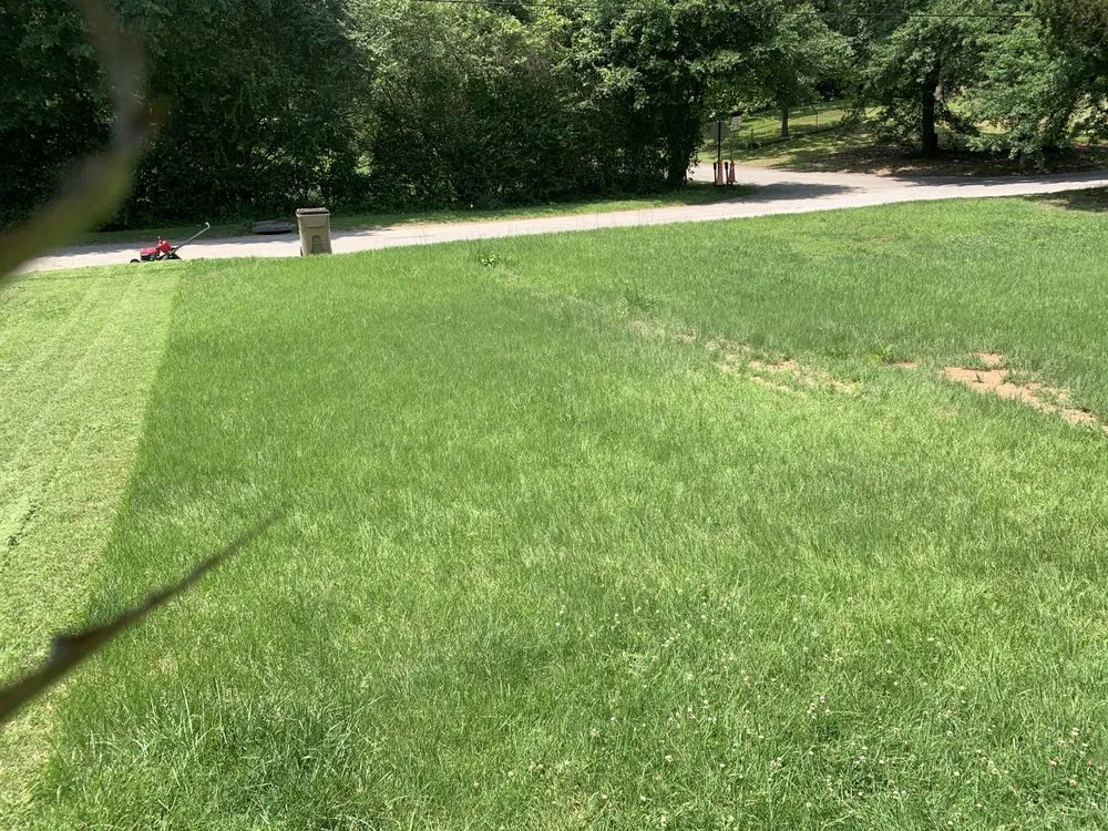 Custom lawn mowing service for residential properties across Mableton, GA - Slim cuts