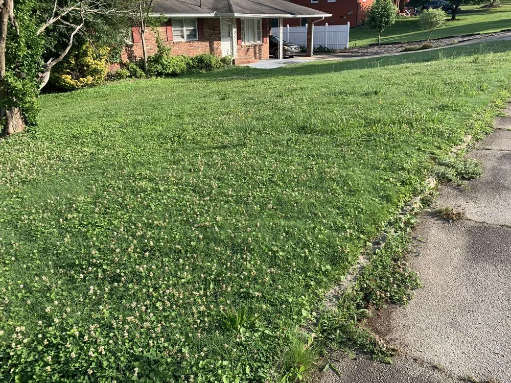 Top-rated lawn mowing service for beautiful yards in Mableton, GA by Slim cuts