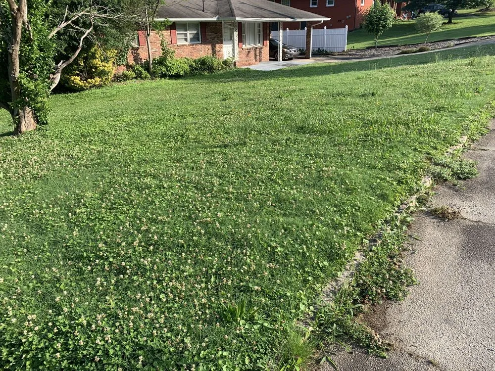 Expert lawn mowing service experts serving Mableton, GA - Slim cuts