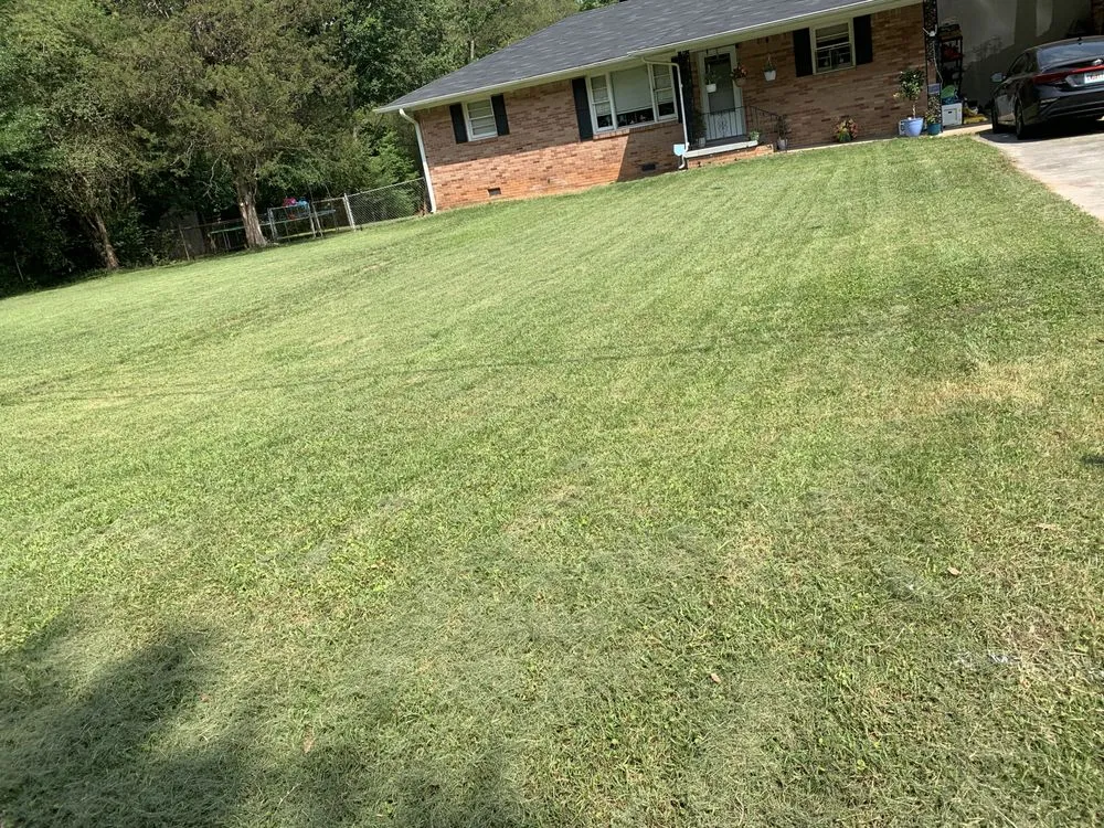 Expert lawn mowing service in Mableton, GA - Slim cuts