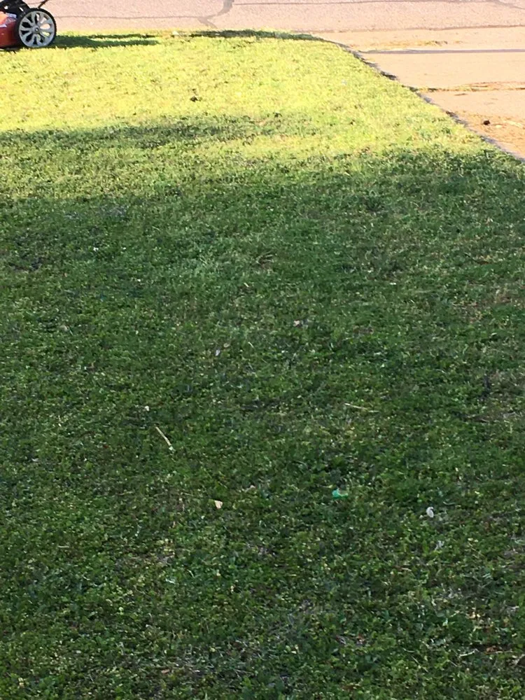 Professional lawn mowing service in Arlington, TX by Slim Lawn Care