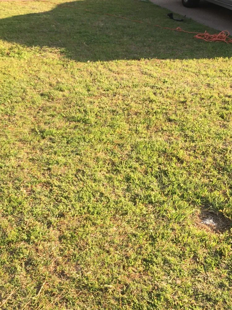 Trusted yard maintenance experts serving Arlington, TX - Slim Lawn Care