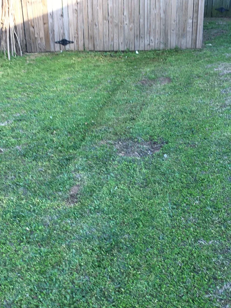 Affordable landscaping services for beautiful yards across Arlington, TX - Slim Lawn Care