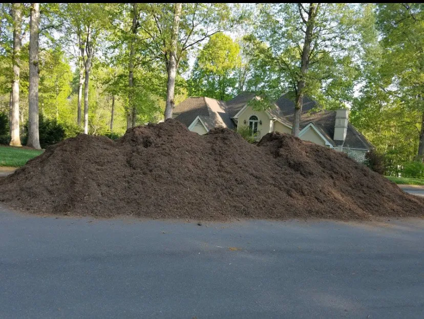 Trusted yard cleanup service experts serving Newton, NC - Slim’s Mulch Services
