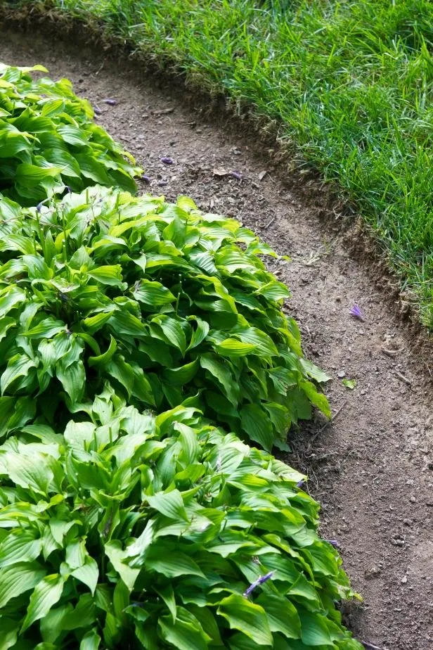 Expert landscape installation for homes in Helena, AL by Slingin Blade Landscape Services