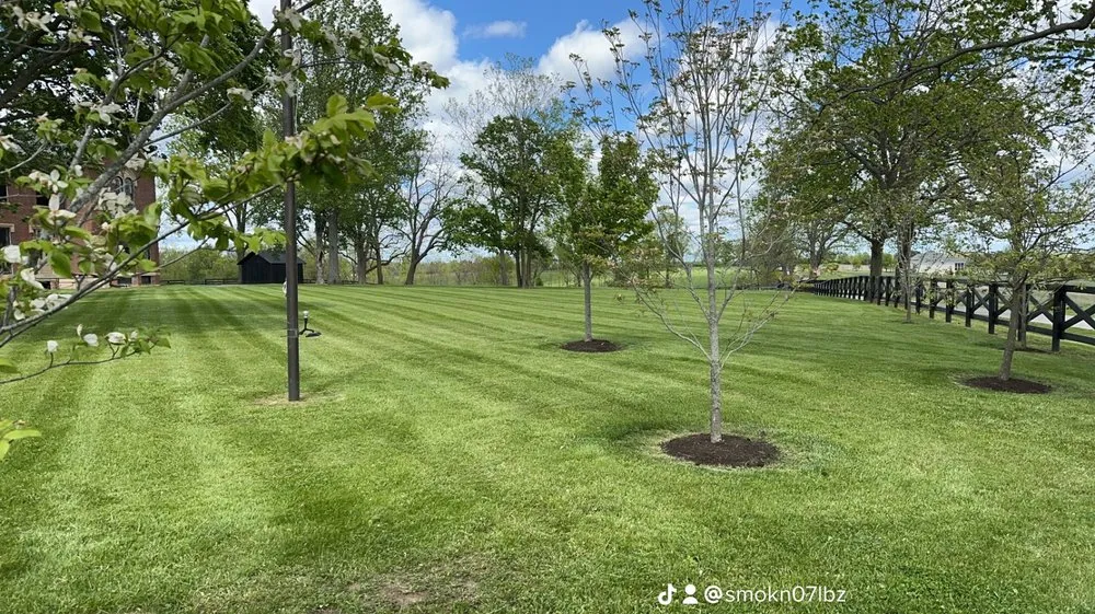 Top-rated lawn care service in Carlisle, KY by Sling’n Blades Lawn Care