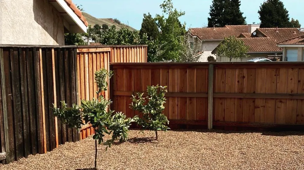Top-rated yard maintenance near you in San Luis Obispo, CA by SLO Landscaping