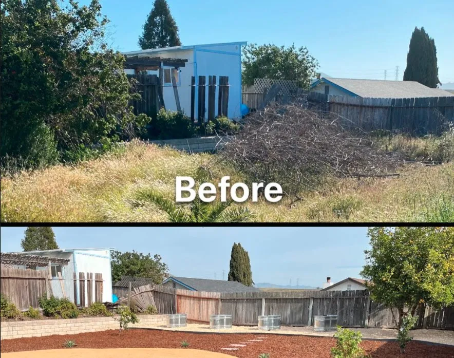 Affordable landscaping services for year-round maintenance in San Luis Obispo, CA by SLO Landscaping