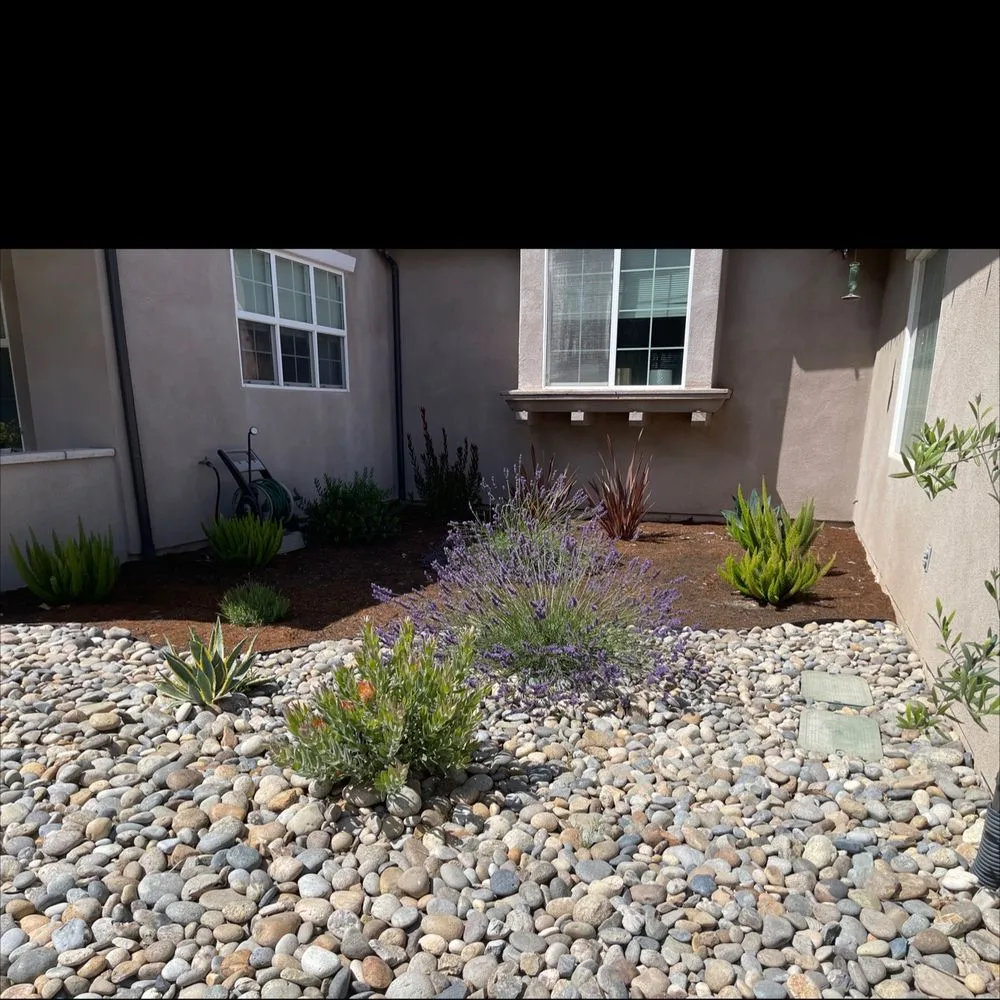 Expert landscaping services in San Luis Obispo, CA by SLO Landscaping