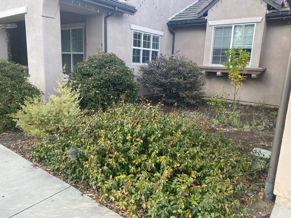 Expert landscape installation experts serving San Luis Obispo, CA - SLO Landscaping