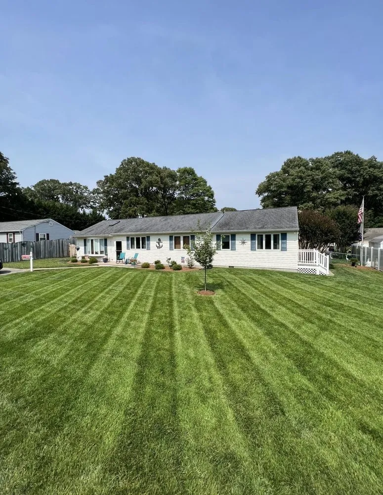 Affordable yard cleanup service for year-round maintenance in Toronto, OH by Sloane Lawncare