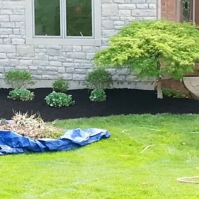 Expert yard cleanup service in Bedford, VA by Sloan's Lawncare