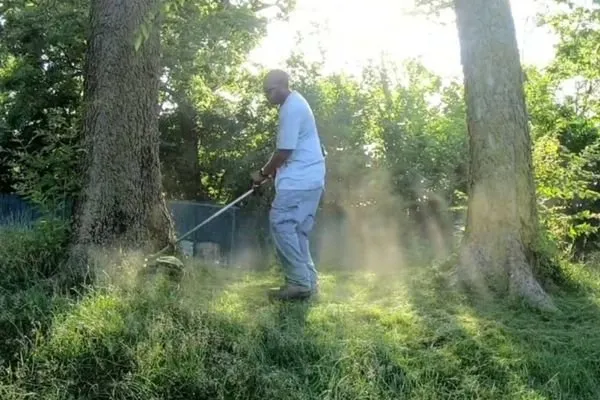 Expert lawn care service for beautiful yards across Bedford, VA - Sloan's Lawncare